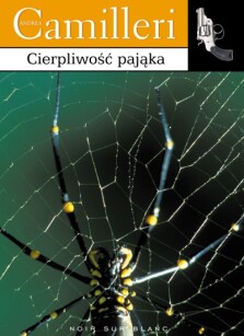 Okładka książki: Cierpliwość pająka