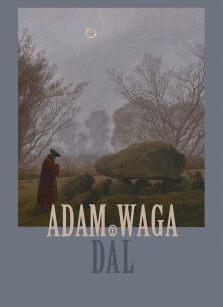 Okładka książki: Dal