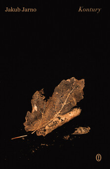 Okładka książki: Kontury