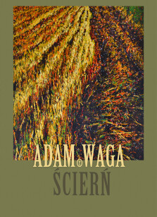 Okładka książki: Ścierń