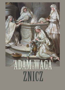 Okładka książki: Znicz